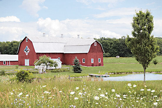 Lori Deiter LD2448 - LD2448 - Beyond the Wildflowers - 18x12 Barn, Farm, Barn Quilt, Patriotic, Queen Anne's Lace, Pond, Photography, Landscape from Penny Lane