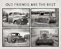 LD2486 - Old Friends Are the Best - 16x12