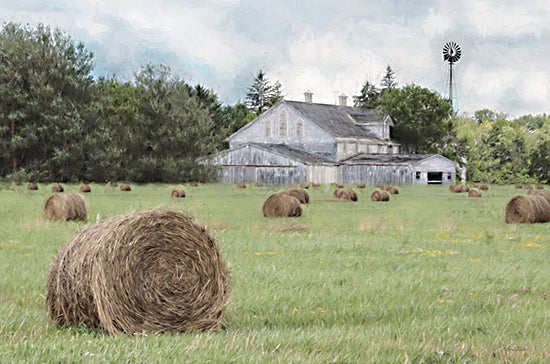 Lori Deiter LD2507 - LD2507 - Summer Bounty - 18x12 Farm, Barn, Hay, Haybales, Field, Summer, Seasons, Photography from Penny Lane