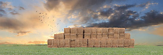 Lori Deiter LD2527 - LD2527 - Haystack Harvest - 18x6 Haystacks, Harvest, Farm, Fall, Autumn, Fields, Landscape, Photography from Penny Lane