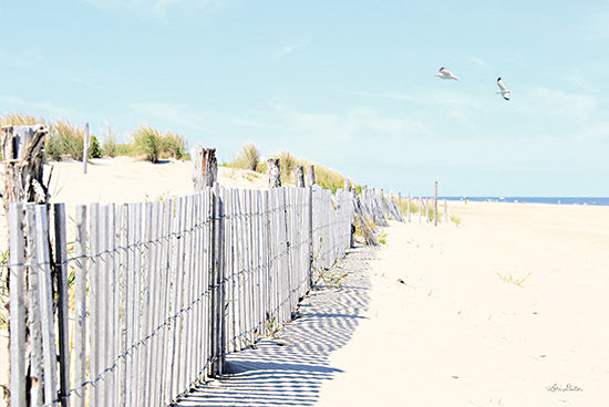 Lori Deiter LD2528 - LD2528 - Dewey Beach Fences - 18x12 Coastal, Beach, Fence, Ocean, Sand, Seagulls, Landscape, Photography from Penny Lane