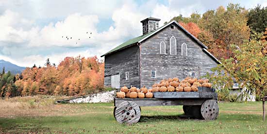 Lori Deiter LD2554 - LD2554 - Fall Roadside Market - 18x9 Fall Roadside Market, Pumpkins, Farm, Barn, Fall, Autumn, Trees, Landscape, Photography from Penny Lane