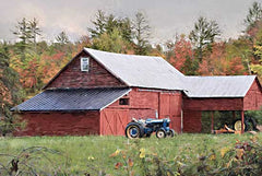 LD2561 - Red Adirondack Barn - 18x12