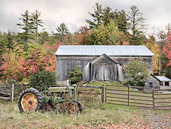 LD2603 - Fall on the Farm II - 16x12