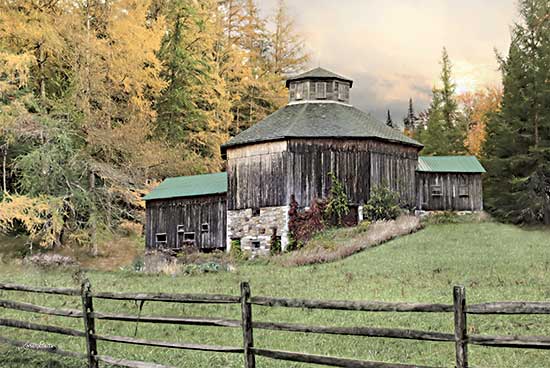 Lori Deiter LD2604 - LD2604 - Octagon Barn - 18x12 Octagon Barn, Barn, Farm, Fence, Photography, Trees from Penny Lane