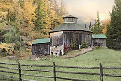 LD2604 - Octagon Barn - 18x12