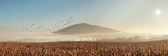 Lori Deiter LD2606 - LD2606 - Rakers Mill Road Sunrise - 18x6 Rakers Mill Road, Elizabethville, Pennsylvania, Sunrise, Mountains, Birds, Fields, Photography from Penny Lane