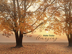 LD2607 - Make Today Amazing - 16x12