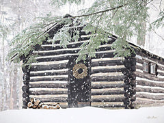 LD2613 - Rustic Cabin Christmas - 16x12