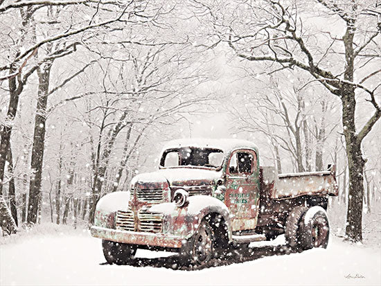 Lori Deiter LD2627 - LD2627 - Christmas Tree Truck - 16x12 Truck, Winter, Photography, Snow, Trees, Christmas Tree Delivery from Penny Lane