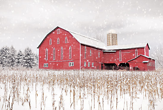 Lori Deiter LD2628 - LD2628 - Belleville Countryside - 18x12 Barn, Red Barn, Farm, Fields, Wheat Fields, Winter, Photography, Winter from Penny Lane