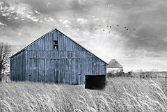 LD2674 - Blue Barn III - 18x12