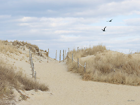 Lori Deiter LD2771 - LD2771 - Fenwick Island - 16x12 Fenwick Island, Delaware, Coastal, Beach, Path, Landscape, Photography from Penny Lane