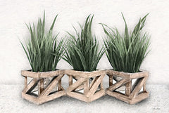 LD2775 - Planter Trio - 18x12