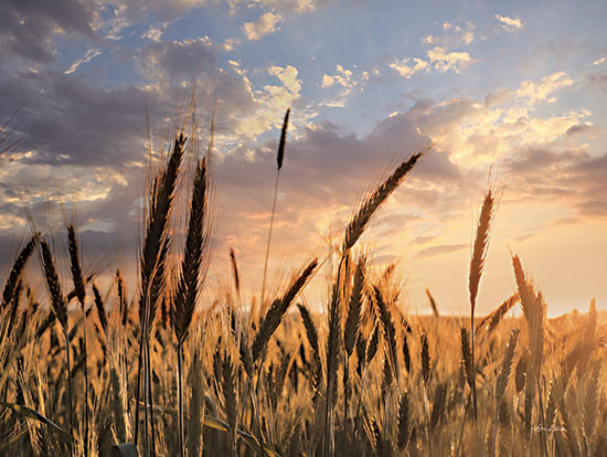 Lori Deiter LD2811 - LD2811 - Summer Field - 16x12 Summer Field, Farm, Wheat, Photography, Landscape from Penny Lane