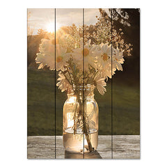 LD2816PAL - Morning Daisies I - 12x16