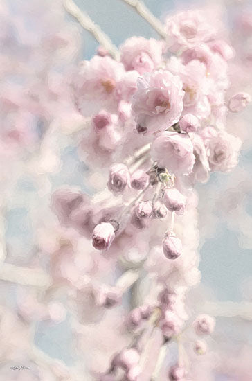 Lori Deiter LD2824 - LD2824 - Weeping Cherry - 12x18 Cherry Blossom, Cherry Trees, Trees, Spring, Photography from Penny Lane