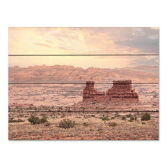 LD2846PAL - Dusty Desert II - 16x12