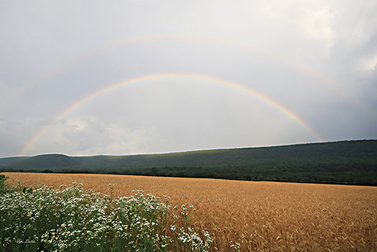 Lori Deiter LD2873 - LD2873 - Summer Rainbow - 18x12 Photography, Landscape, Rainbow, Nature, Clouds, Wildflowers from Penny Lane