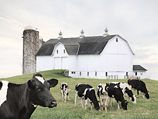 Lori Deiter LD2891 - LD2891 - Cow Gathering - 16x12 Cows, Grazing, Photography, Barn, Farm, Country, Farm Animals from Penny Lane