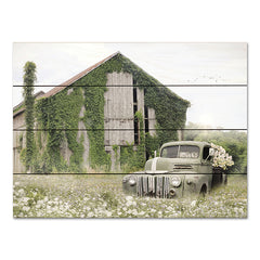 LD2896PAL - Overgrown - 16x12