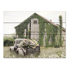 LD2899PAL - Field of Flowers - 16x12