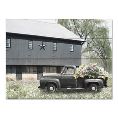 LD2903PAL - High on Summertime - 16x12
