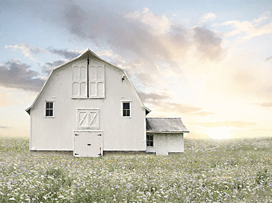 Lori Deiter LD2912 - LD2912 - White Summer Barn - 16x12 Photography, Barn, Farm, Wildflowers, Sunshine, Nature from Penny Lane