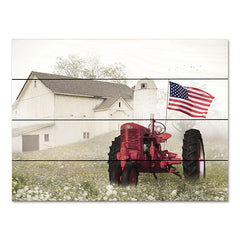 LD2913PAL - Old Glory at the Barn - 16x12