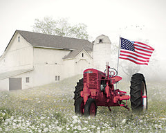 LD2913 - Old Glory at the Barn - 16x12