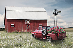 LD2933 - Little Red Barn - 18x12