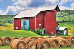 LD2954 - Summer in Bradford County    - 18x12