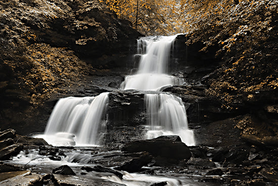 Lori Deiter LD2958 - LD2958 - Golden Waterfall II - 18x12 Waterfall, Nature, Trees, Park, Forest, Photography, Landscape from Penny Lane