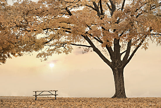 Lori Deiter LD2966 - LD2966 - Perfect Picnic Spot - 18x12 Picnic, Picnic Table, Tree, Fall, Autumn, Landscape, Photography from Penny Lane