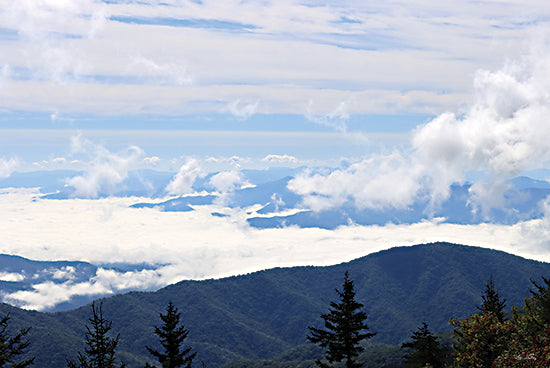 Lori Deiter LD3003 - LD3003 - Smoky Mountain High - 18x12 Landscape, Mountains, Smoky Mountains, Clouds, Photography, Sky, Trees from Penny Lane