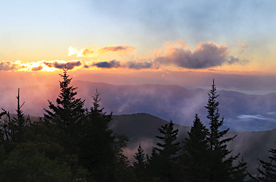 Lori Deiter LD3015 - LD3015 - Foggy Mountain Sunrise - 18x12 Photography, Mountains, Trees, Landscape, Nature, Sunlight, Sunrise from Penny Lane