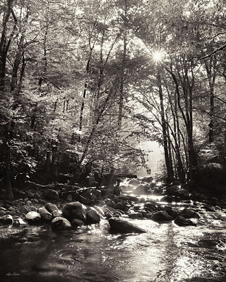 Lori Deiter LD3028 - LD3028 - Little Pigeon River Portrait - 12x16 Photography, Little Pigeon River, River, Rocks, Trees, Landscape, Black & White, Nature from Penny Lane