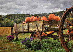 LD302B - Pumpkin Wagon - 18x12