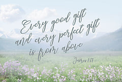 LD3033 - Every Good and Perfect Gift - 18x12