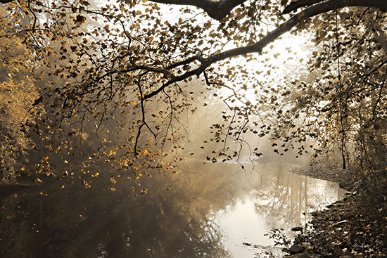 Lori Deiter LD3043 - LD3043 - Morning Rays at Swatara Creek - 18x12 Photography, Landscape, Creek, Fall, Trees, Nature from Penny Lane