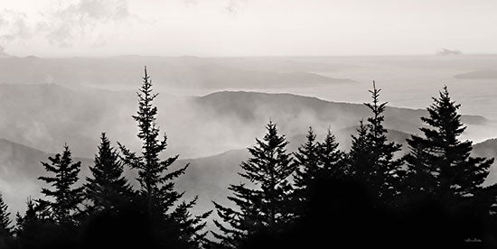 Lori Deiter LD3056 - LD3056 - Elegant Layers III - 18x9 Photography, Landscape, Trees, Fog, Mountains, Nature from Penny Lane