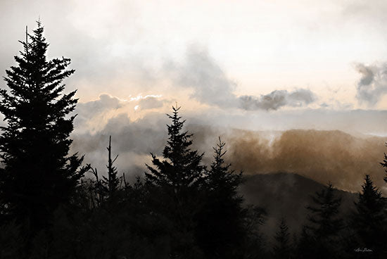 Lori Deiter LD3060 - LD3060 - Mountain Layers 2 - 18x12 Photography, Landscape, Mountains, Trees, Pine Trees, Clouds from Penny Lane