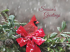 LD3068 - Season's Greetings Cardinal - 16x12