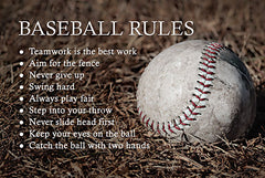 LD3087 - Baseball Rules - 18x12