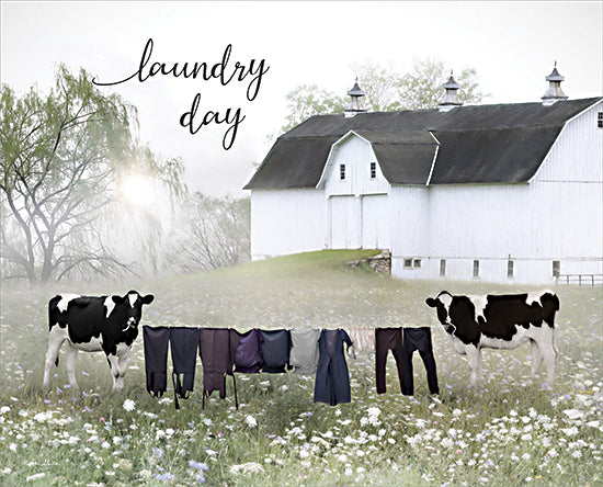 Lori Deiter LD3160 - LD3160 - Laundry Day - 16x12 Photography, Laundry, Laundry Room, Farm, Barn, White Barn, Cows, Clothes Line, Amish, Wildflowers, Laundry Day, Typography, Signs, Textual Art from Penny Lane