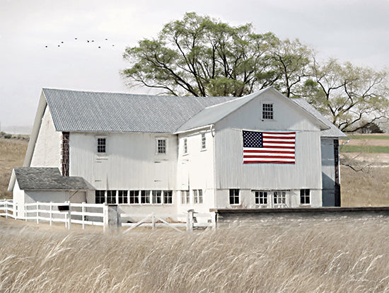 Lori Deiter LD3163 - LD3163 - USA Patriotic Barn - 16x12 Photography, Barn, White Barn, Patriotic, American Flag, Fields, Summer, Independence Day from Penny Lane