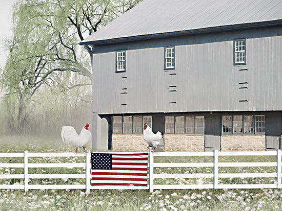 Lori Deiter LD3168 - LD3168 - Patriotic Roosters - 16x12 Photography, Barn, Gray Barn, Roosters, American Flag, Wildflowers, Summer, Independence Day from Penny Lane