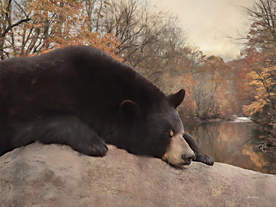 Lori Deiter LD3201 - LD3201 - Don't Poke the Bear - 16x12 Bear, Sleeping Bear, Photography, Fall, Trees, Leaves from Penny Lane