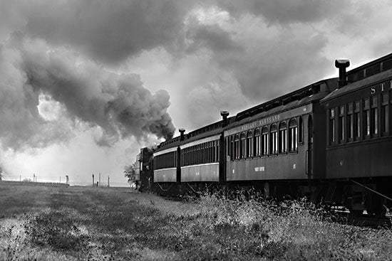 Lori Deiter LD3227 - LD3227 - Country Train Ride - 18x12 Train, Train Ride, Photography, Black & White, Country, Landscape from Penny Lane