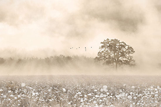 Lori Deiter LD3244 - LD3244 - Foggy Wildflower Field - 18x12 Photography, Landscape, Tree, Wildflowers, Neutral Palette, Fog, Nature from Penny Lane